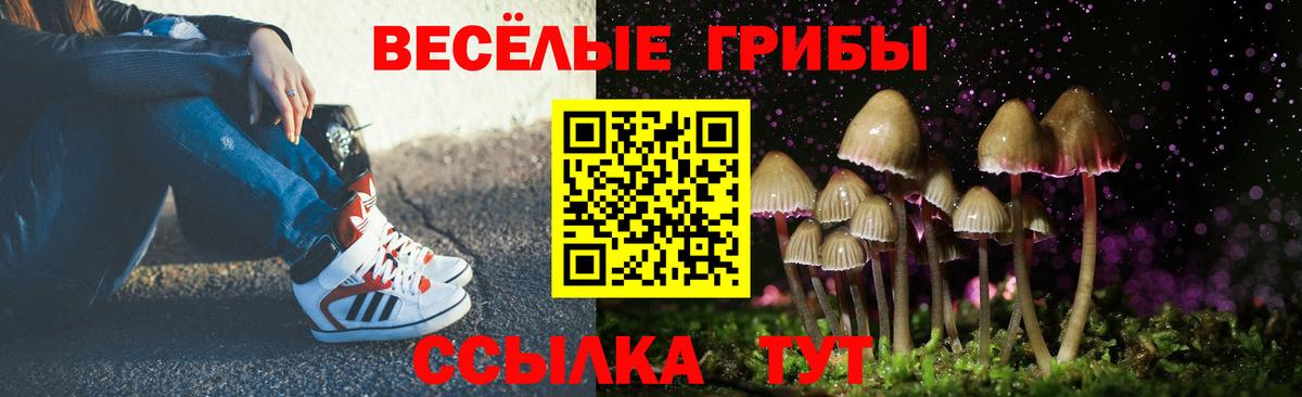 Псилоцибиновые грибы Cubensis  Галлюциногенные грибы Psilocybe  купить закладку  Волгоград  Вход с VPN 