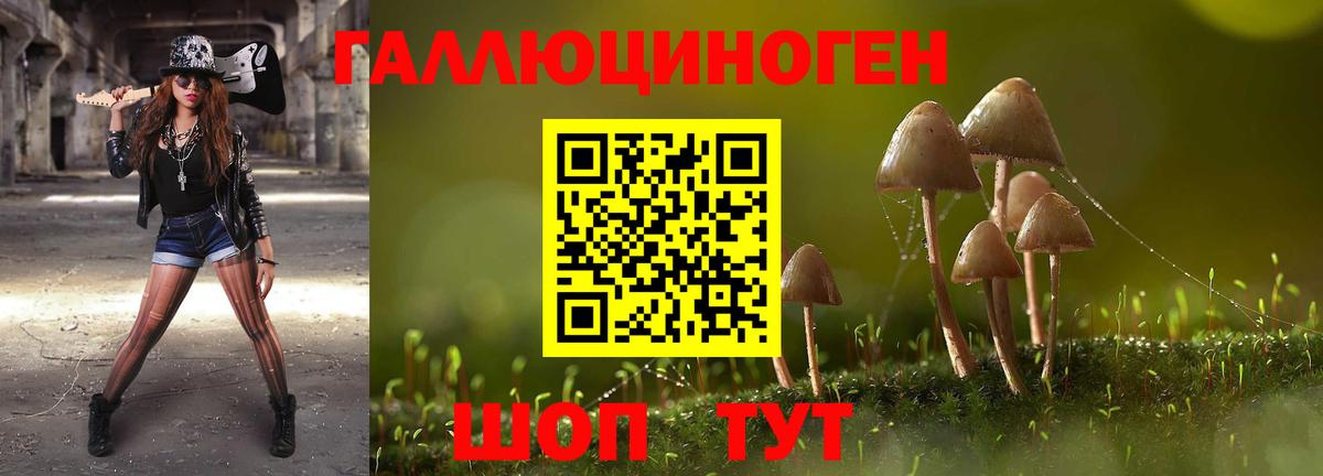 Псилоцибиновые грибы Magic Shrooms Волгоград